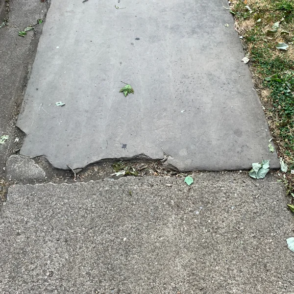 A picture showing a sidewalk in need of concrete leveling in San Antonio.